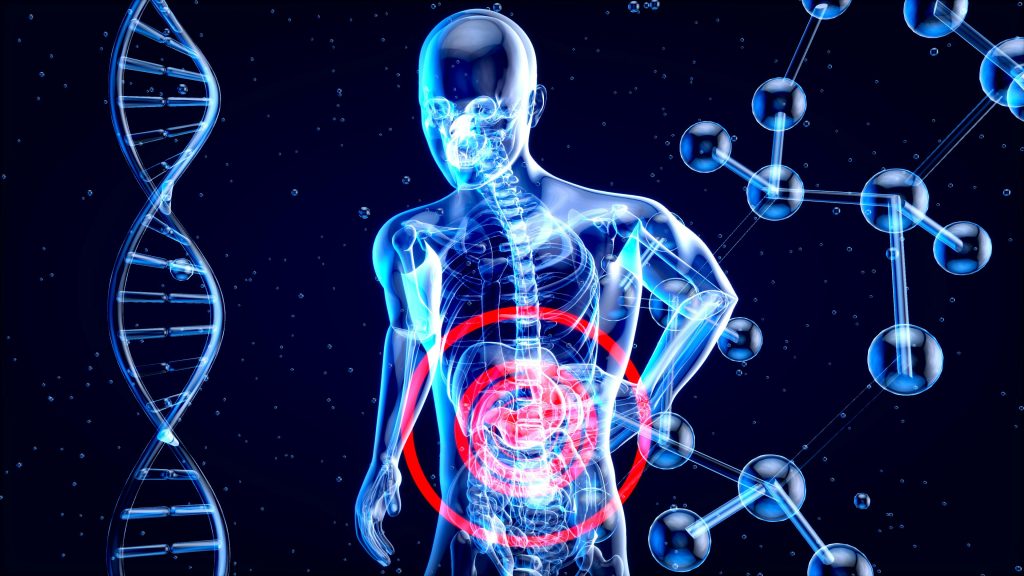 corps anatomie avec cible rouge au niveau du foie
